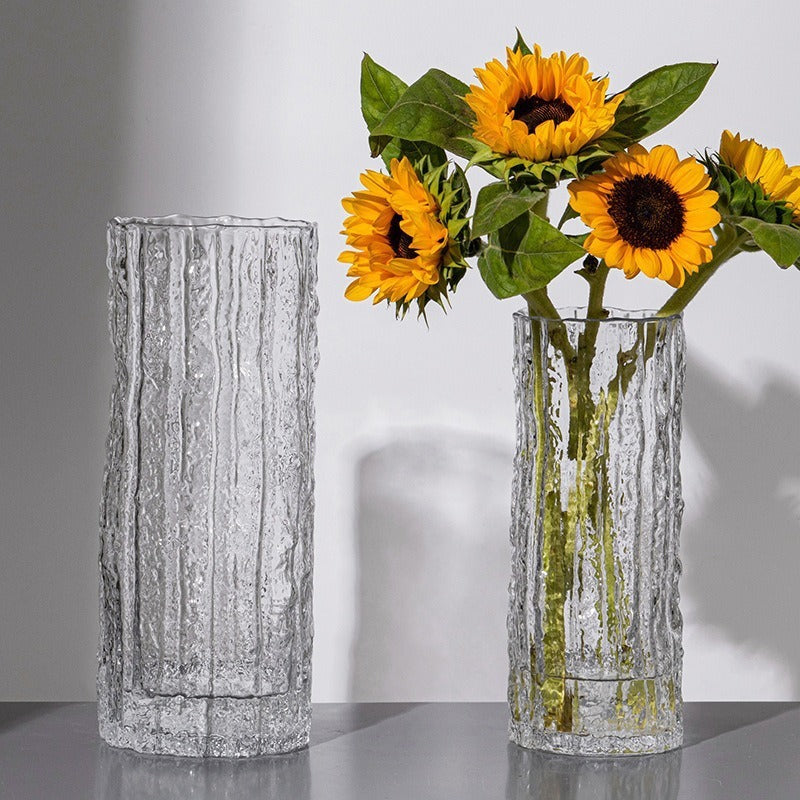 Modern Glass Hydroponic Vase for Home Decor