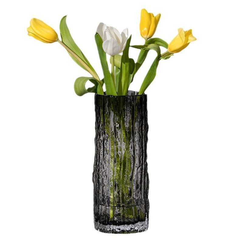 Modern Glass Hydroponic Vase for Home Decor