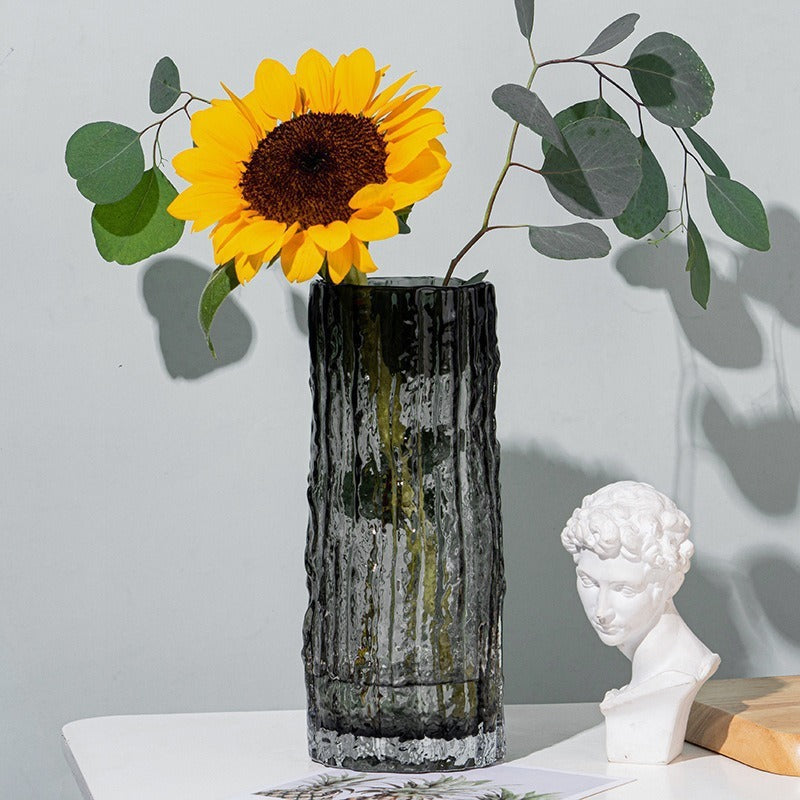 Modern Glass Hydroponic Vase for Home Decor