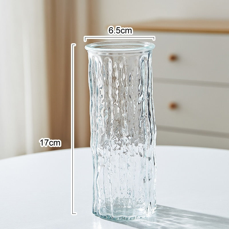 Modern Glass Hydroponic Vase for Home Decor