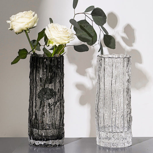 Modern Glass Hydroponic Vase for Home Decor